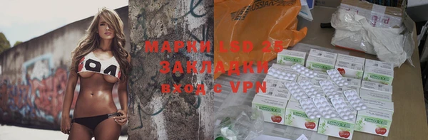 сатива Аркадак