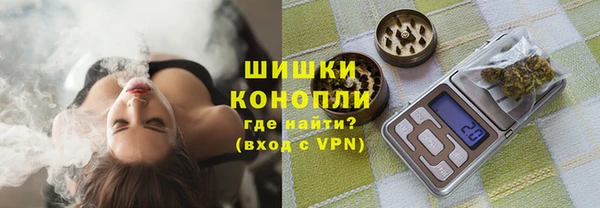 гидропоника Алзамай