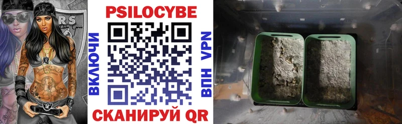 hydra ТОР  Аксай  Псилоцибиновые грибы Psilocybe  мориарти формула  даркнет сайт 